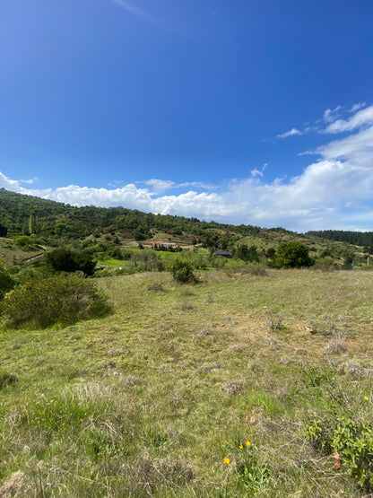 🏡 Parcela en Venta en Proyecto Altos del Olivo | Excelente Oportunidad de Inversión