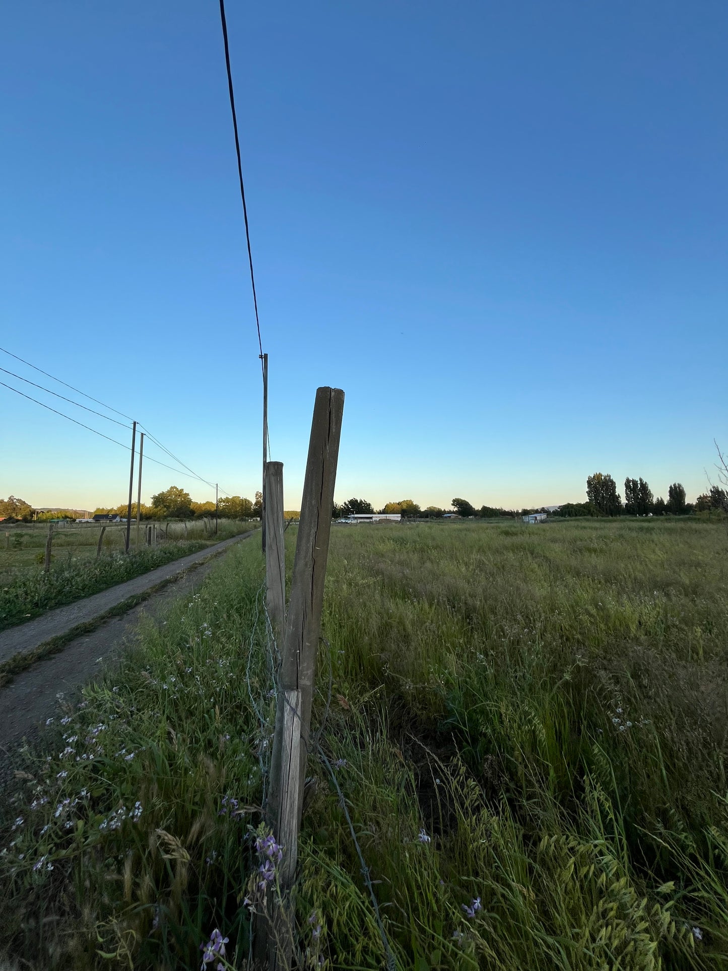 Lote en Venta de 5.000 m² en Sector El Maitén – Camino Interior El Parque