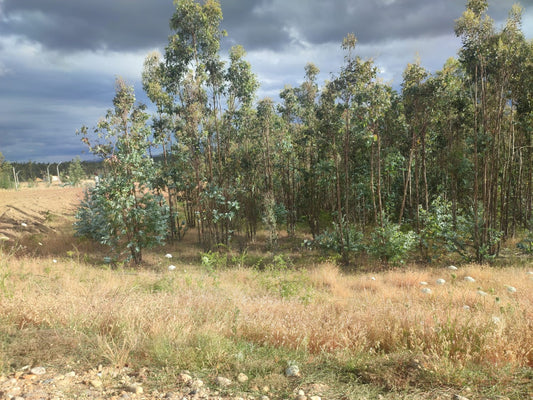 En venta parcela Proyecto Valle San Juan