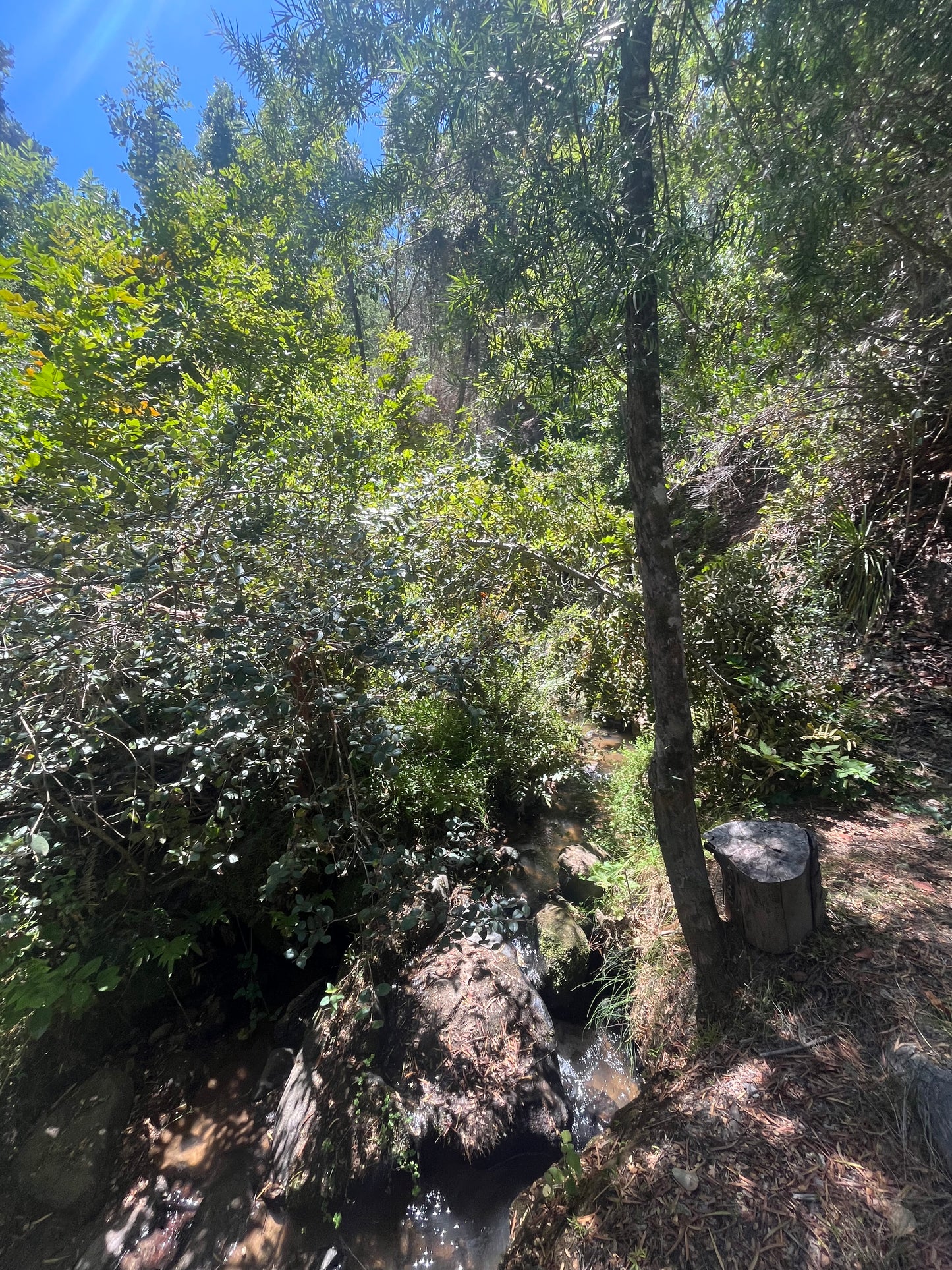 En venta lote sector Rinconada