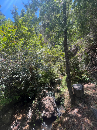En venta lote sector Rinconada
