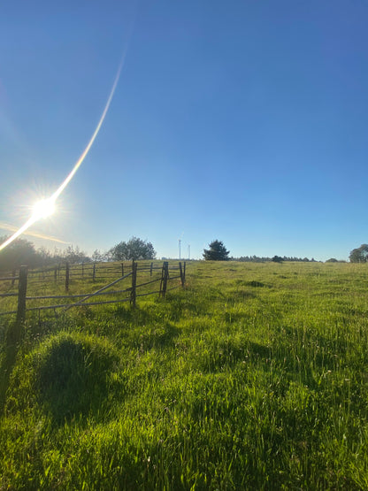 En venta parcela de 1,5 hectáreas en sector La Cabaña, Itraque