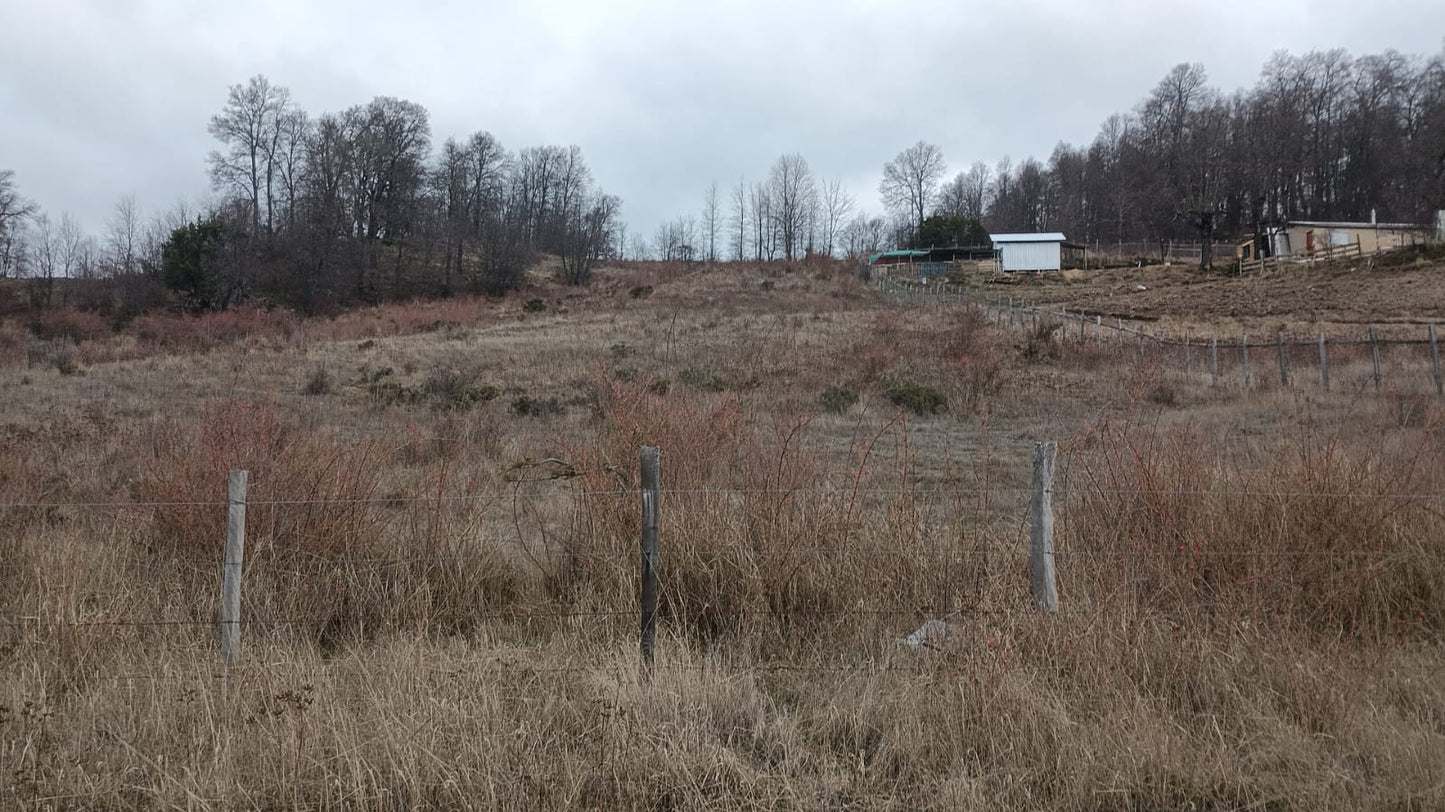 Parcela en Venta – Proyecto Los Robles