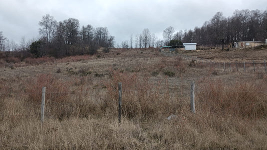 Parcela en Venta – Proyecto Los Robles