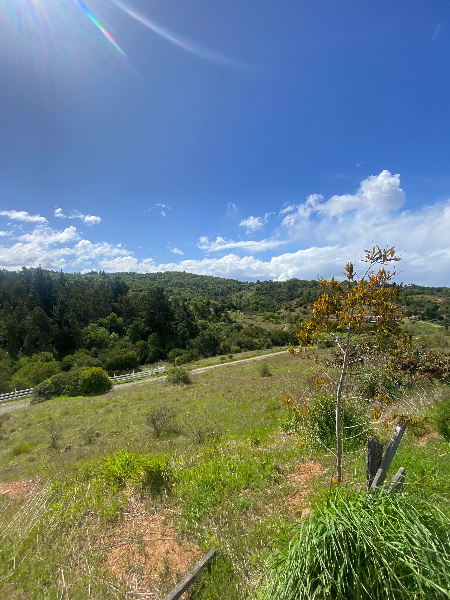 🏡 Parcela en Venta en Proyecto Altos del Olivo | Excelente Oportunidad de Inversión