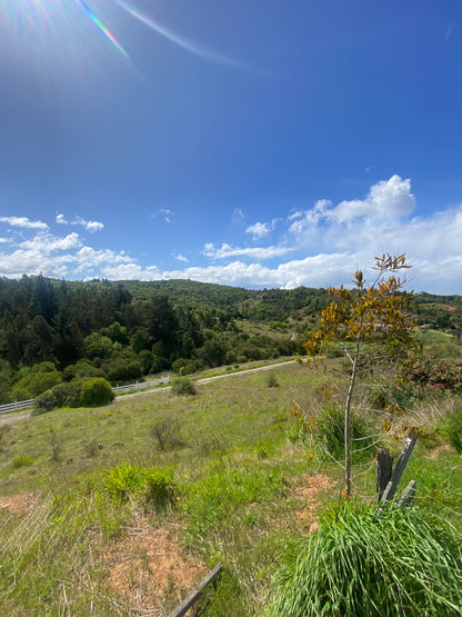 🏡 Parcela en Venta en Proyecto Altos del Olivo | Excelente Oportunidad de Inversión