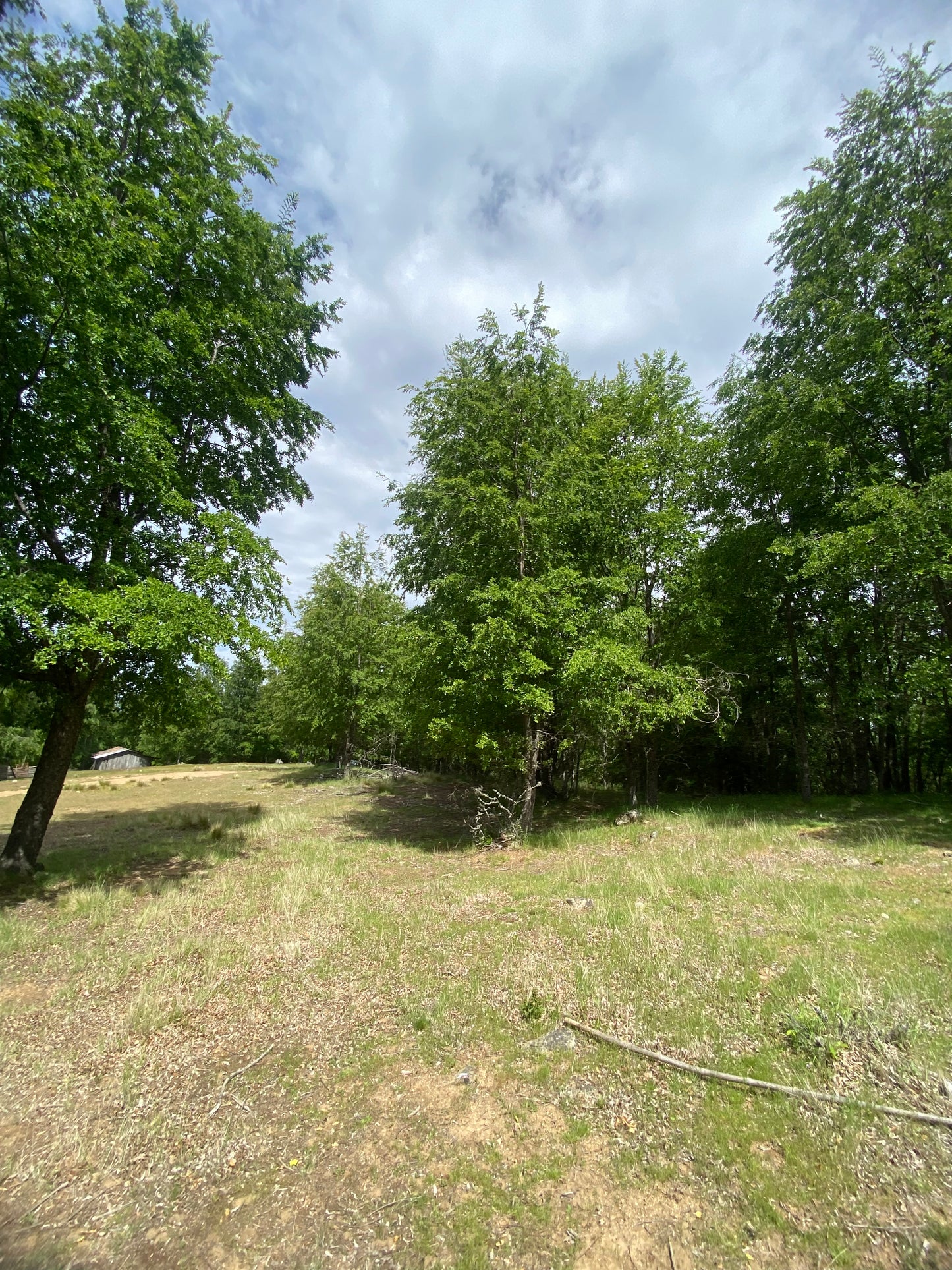 🌄 Proyecto Parcelas Altos de Nahuelbuta – Venta