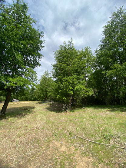 🌄 Proyecto Parcelas Altos de Nahuelbuta – Venta