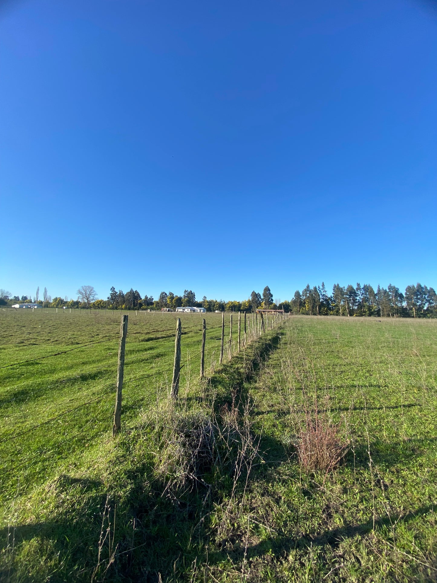 🏡 Proyecto de Parcelas en Venta – Sector El Parque | Crédito Directo