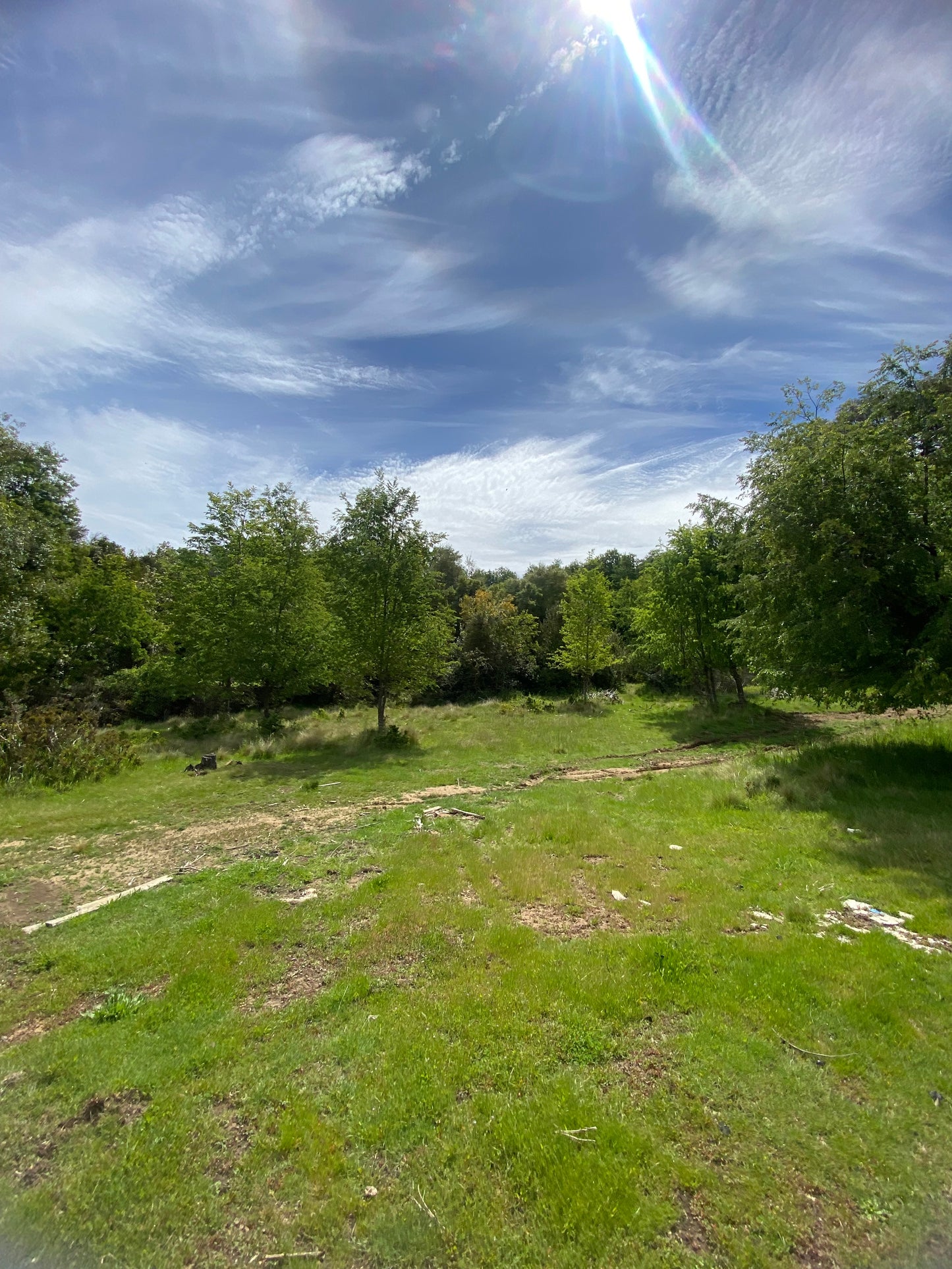 🌄 Proyecto Parcelas Altos de Nahuelbuta – Venta