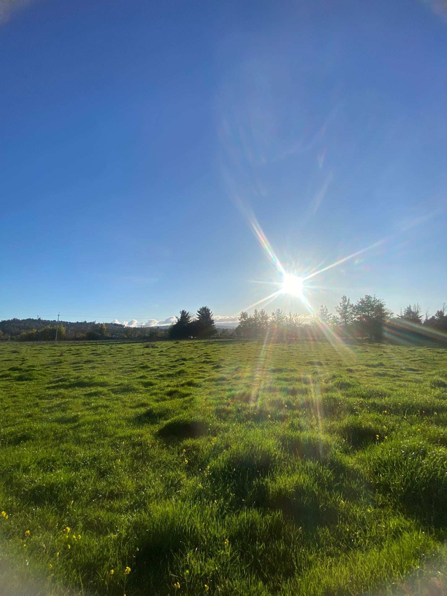EN VENTA PARCELA 5.000 m² – CAMINO INTERIOR SECTOR EL PARQUE | ANGOL