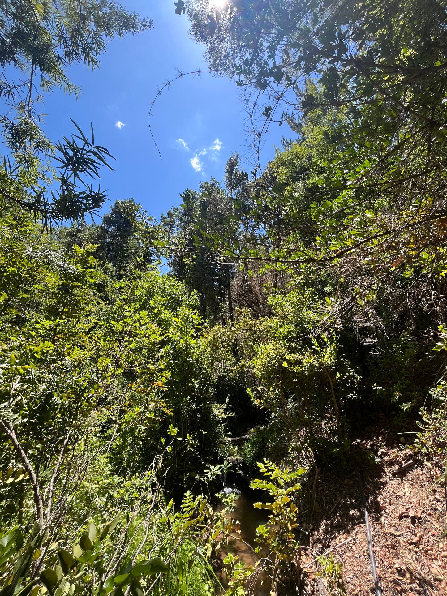 En venta lote sector Rinconada