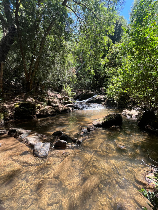 En venta lote sector Rinconada