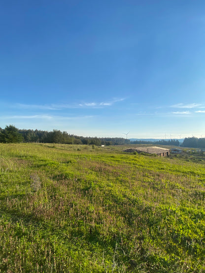 En venta parcela de 1,5 hectáreas en sector La Cabaña, Itraque