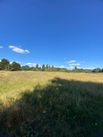 🔷 Parcelas en Venta en Renaico – Sector Casablanca