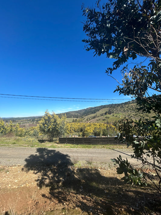 En venta Valle San Juan