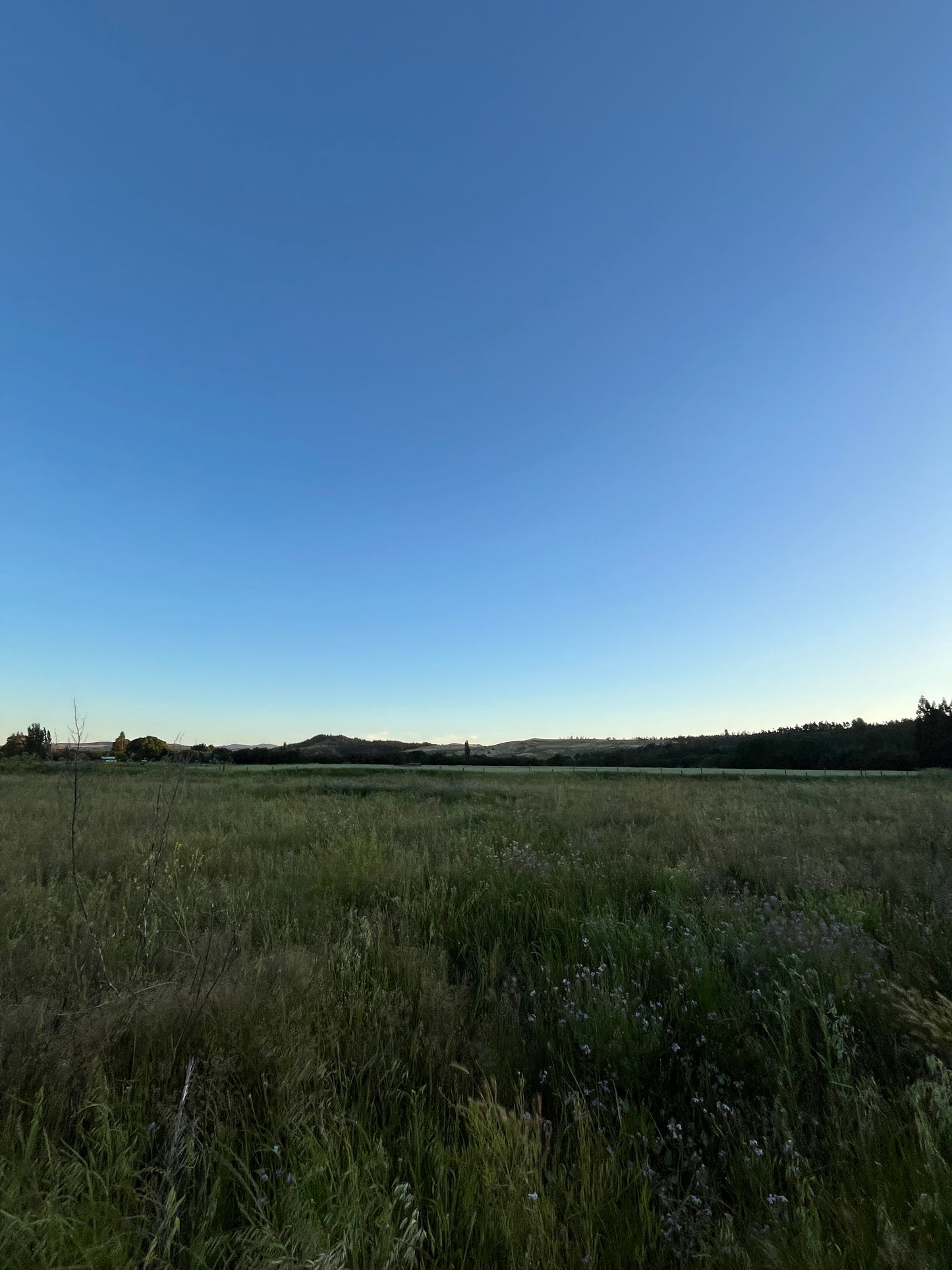 Lote en Venta de 5.000 m² en Sector El Maitén – Camino Interior El Parque