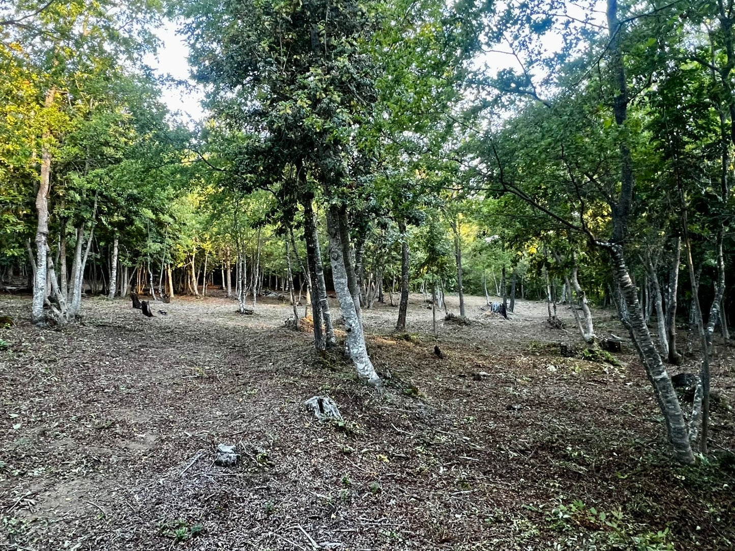 🏡 SE VENDE PARCELA CON CASA EN CONDOMINIO ECO NAHUELBUTA