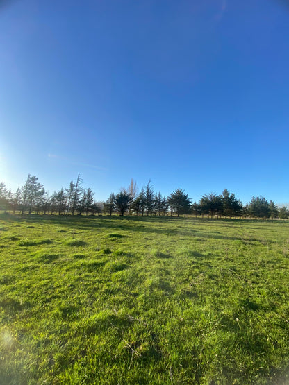 EN VENTA PARCELA 5.000 m² – CAMINO INTERIOR SECTOR EL PARQUE | ANGOL