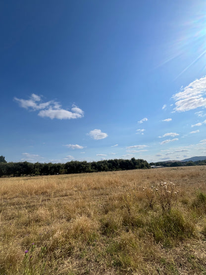 🏞️ Venta de Lotes – Sector Vado, Buenos Aires