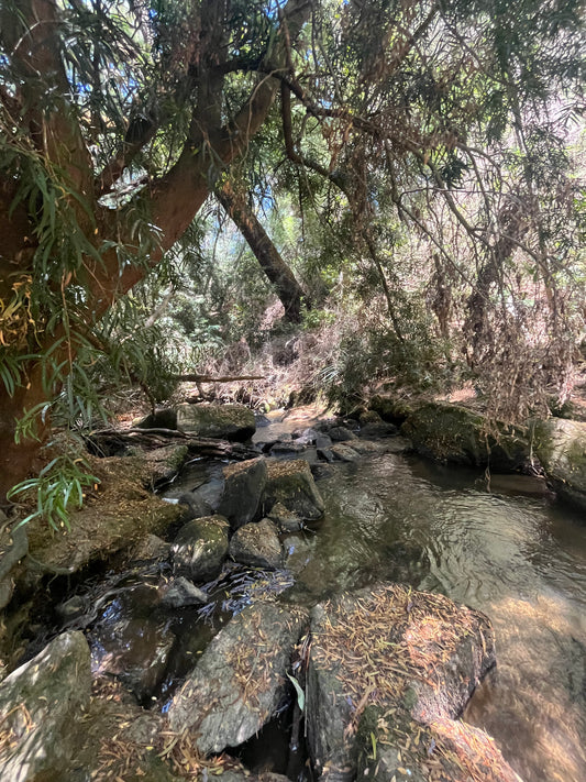 En venta lote sector Rinconada