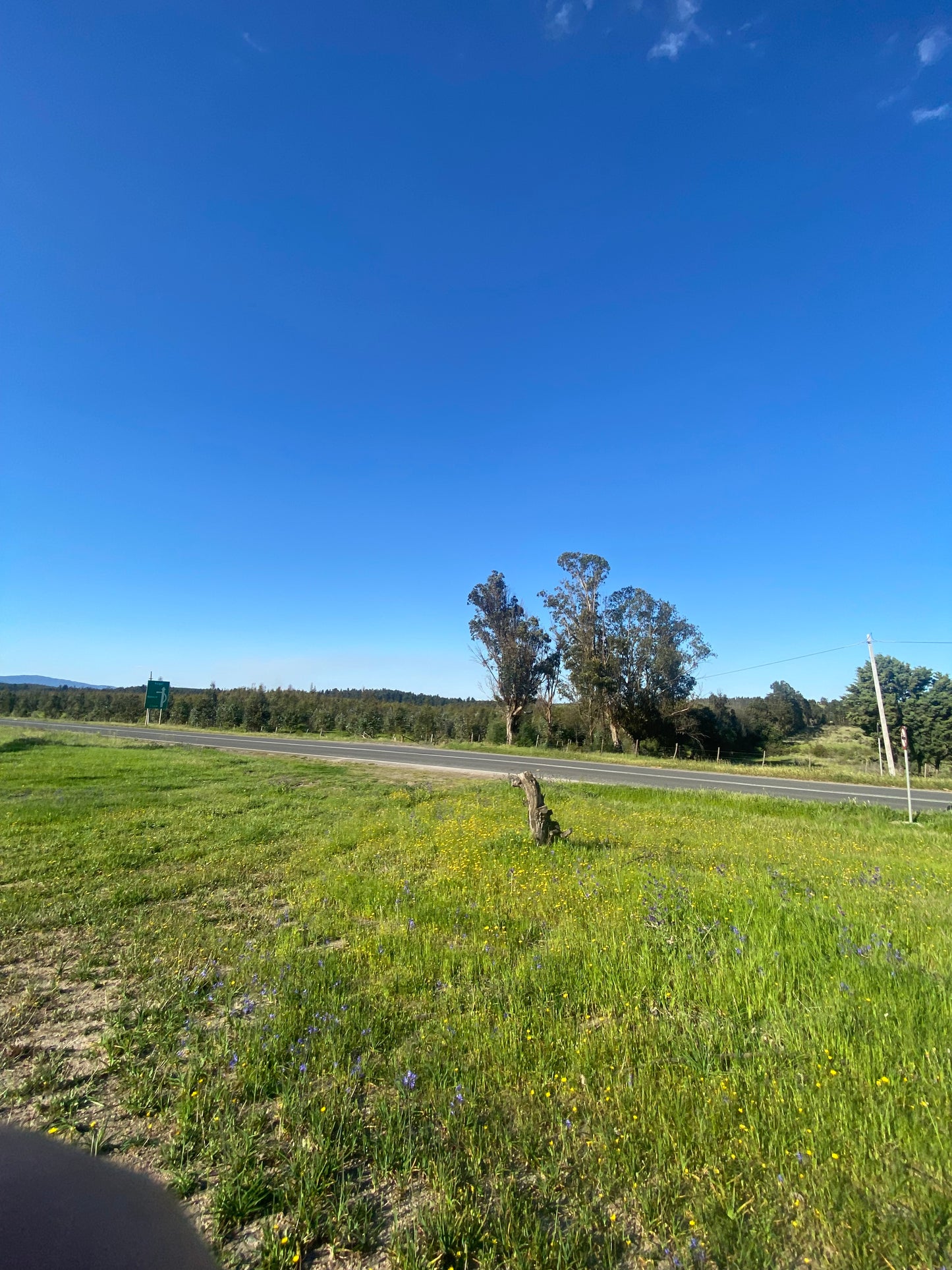 Terreno en venta en Angol – Trintre | 5.000 m² | Ideal proyecto comercial