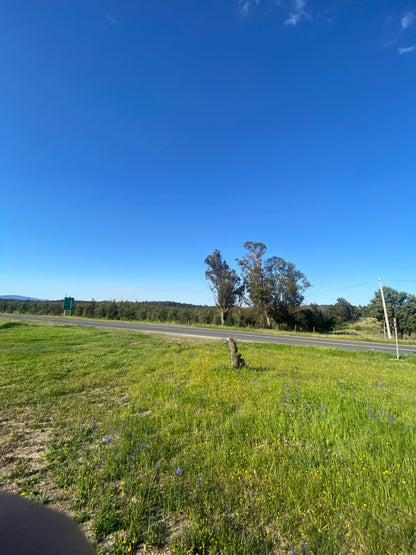 Terreno en venta en Angol – Trintre | 5.000 m² | Ideal proyecto comercial