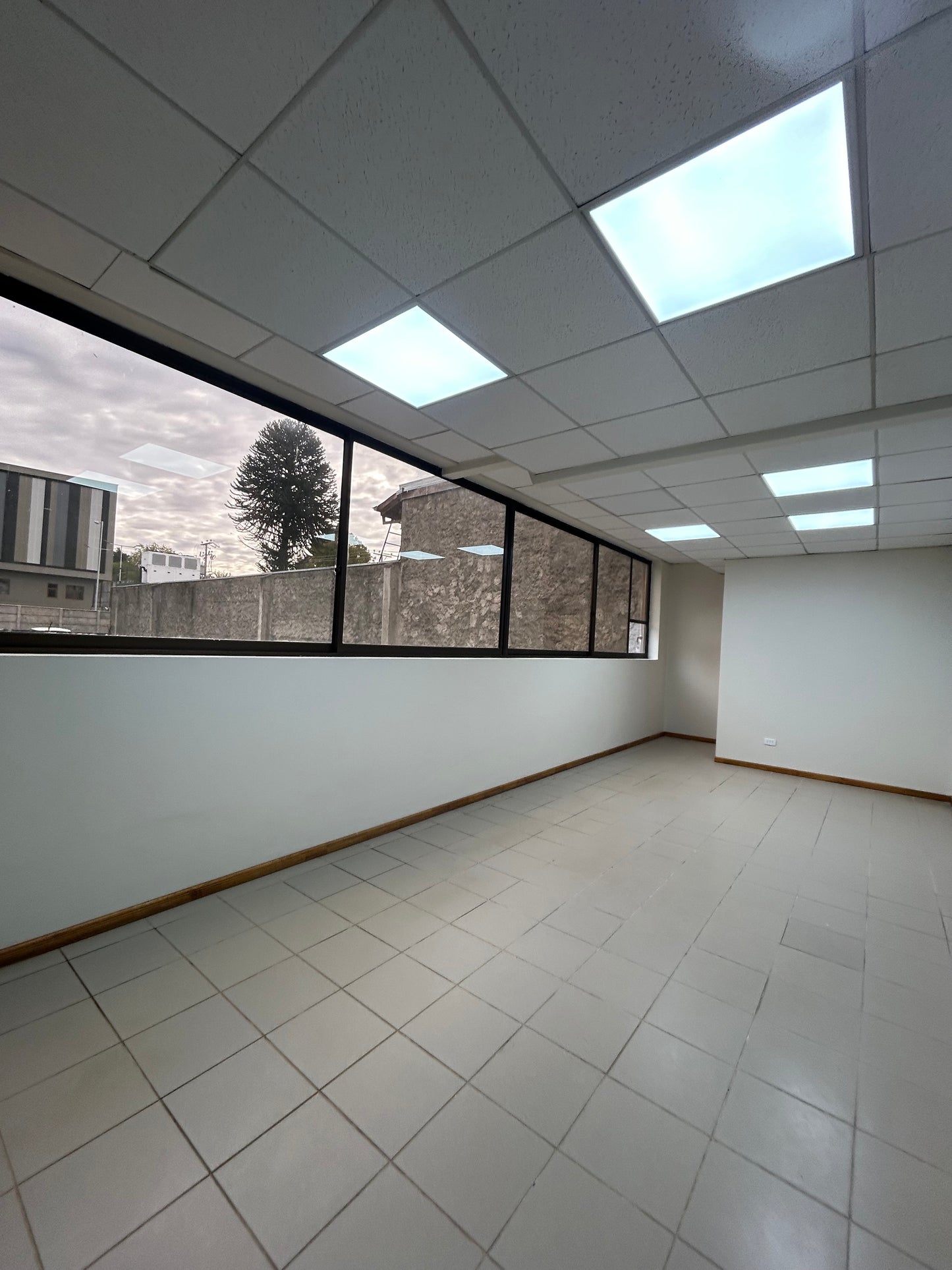 🔹 En arriendo dependencias comerciales en Edificio Araucarias – Calle Lautaro, Angol 🔹