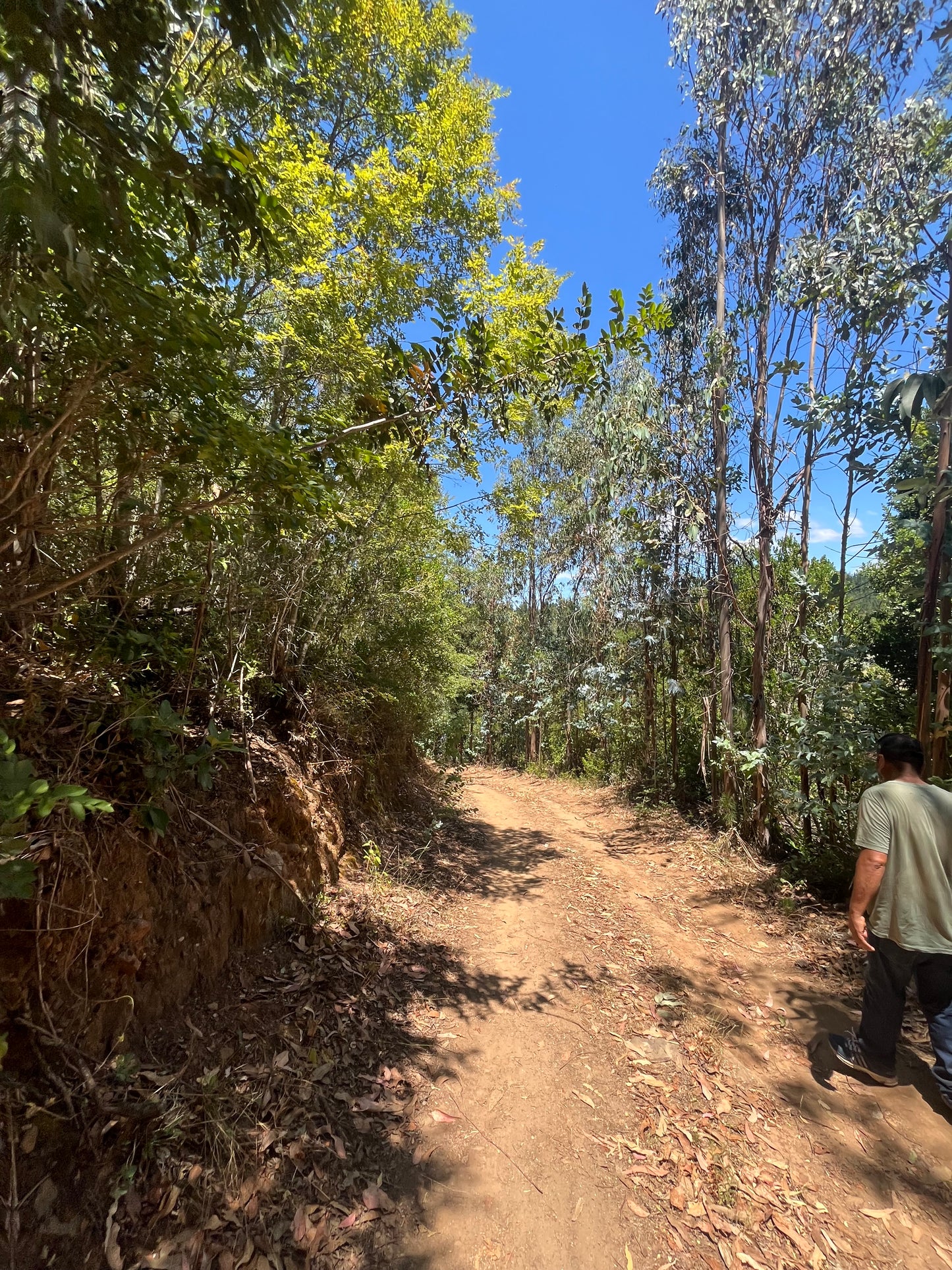 En venta lote sector Rinconada