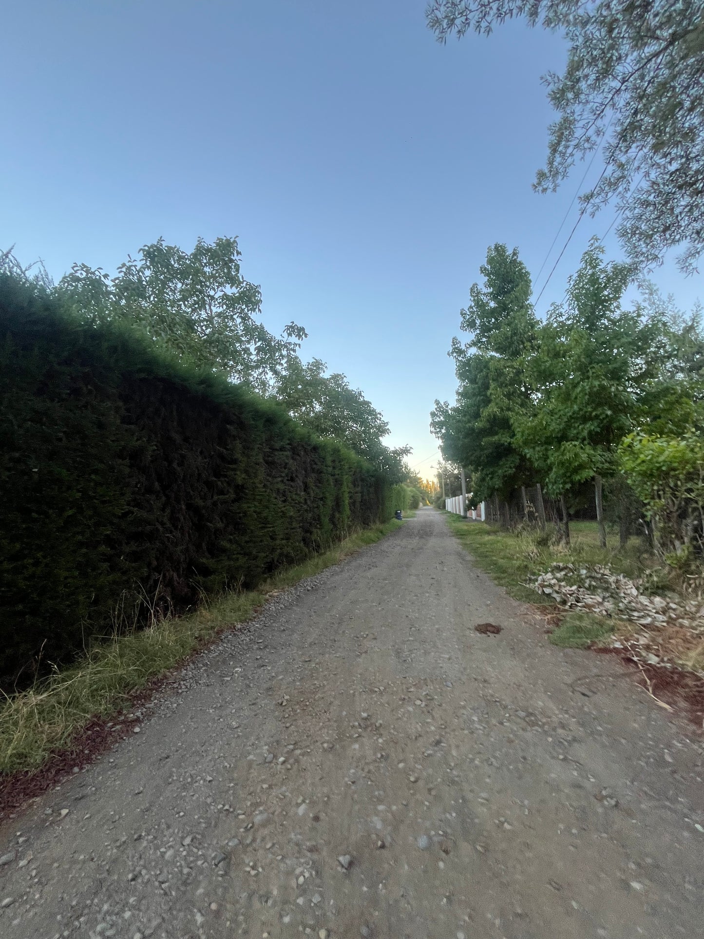 En venta sector El naranjal