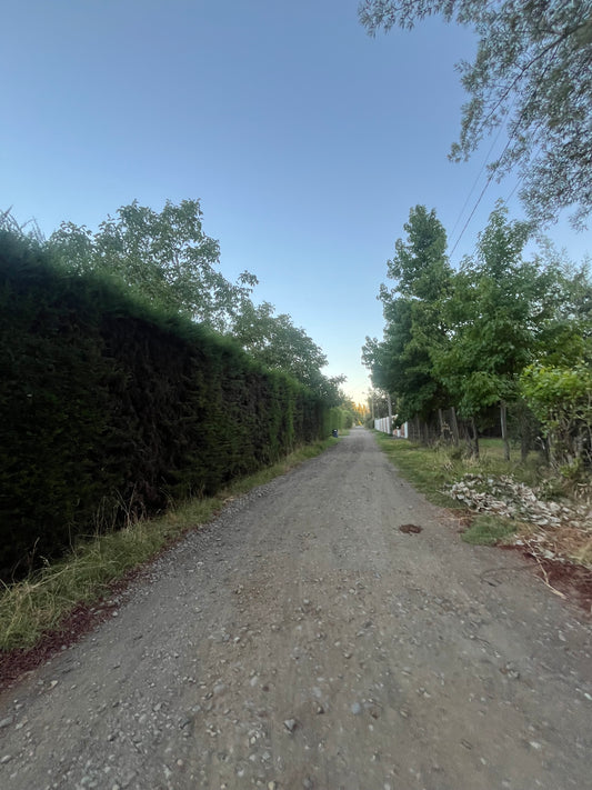 En venta sector El naranjal