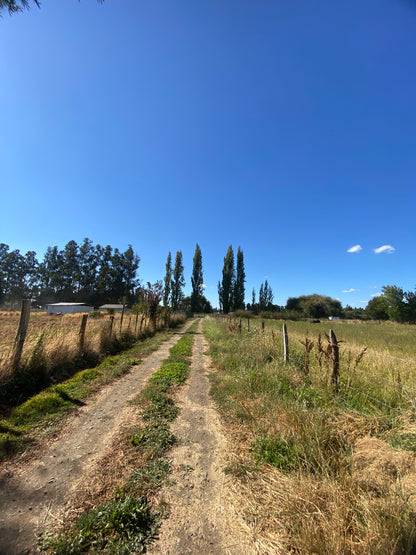 🔷 Parcelas en Venta en Renaico – Sector Casablanca