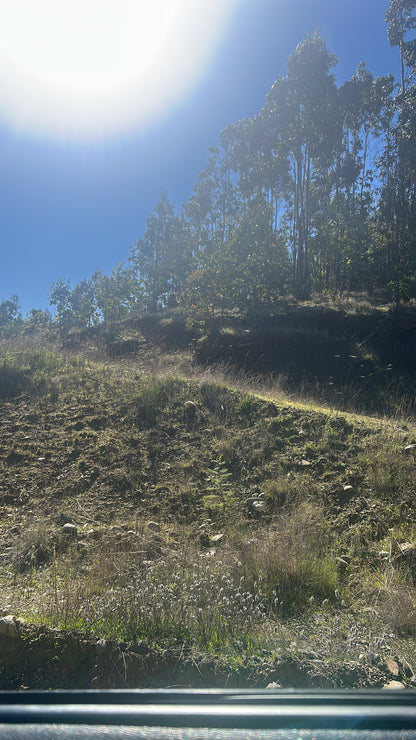 En venta Valle San Juan Lote Individual