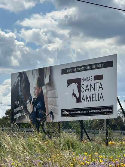 Parcela en Harás Santa Amelia – 5.000 m² | Rol propio | Etapa III