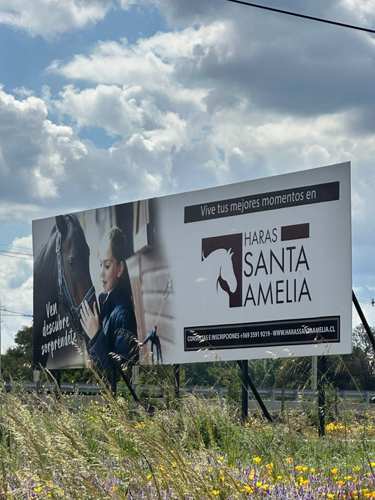 Parcela en Harás Santa Amelia – 5.000 m² | Rol propio | Etapa III