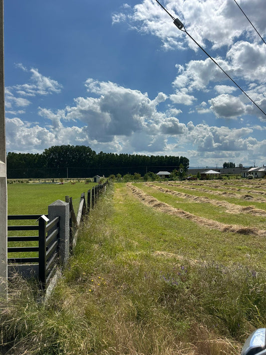 Parcela en Harás Santa Amelia – 5.000 m² | Rol propio | Etapa III