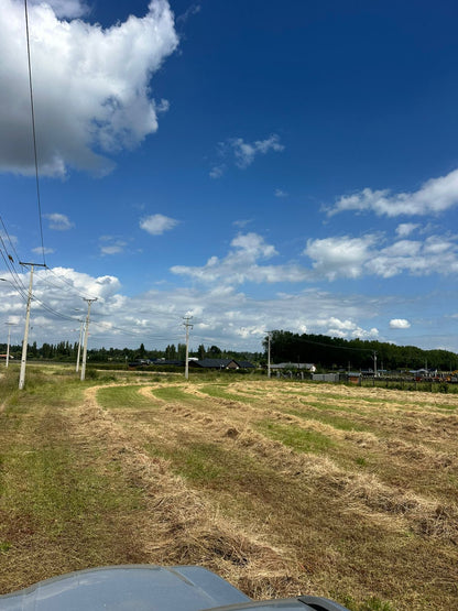 Parcela en Harás Santa Amelia – 5.000 m² | Rol propio | Etapa III