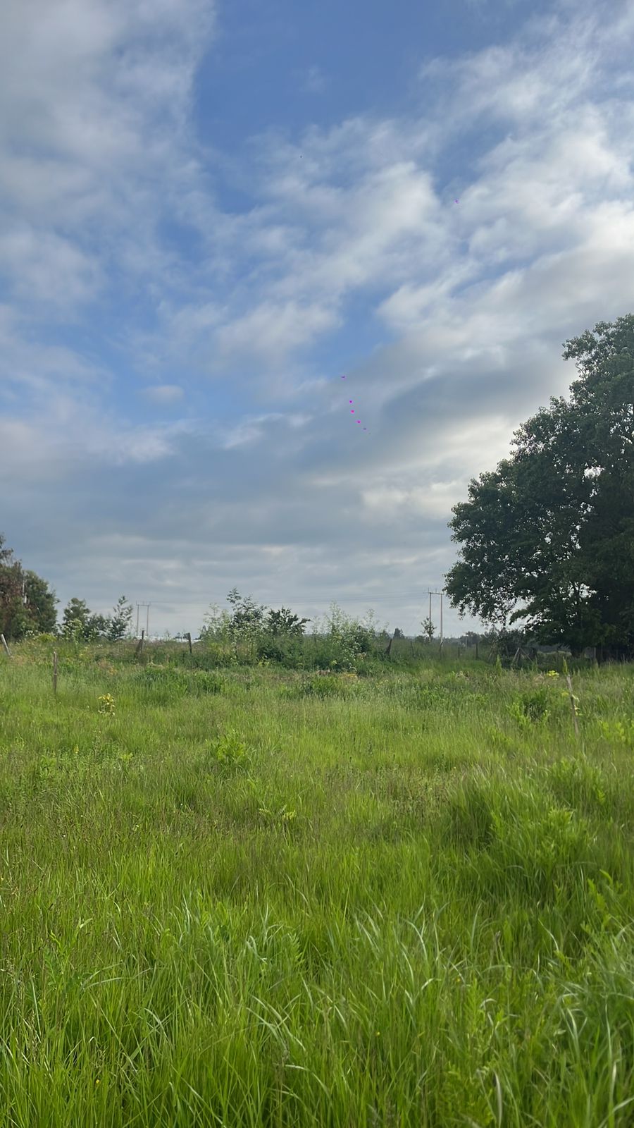 Parcela en Harás Santa Amelia – 5.000 m² | Rol propio | Etapa III