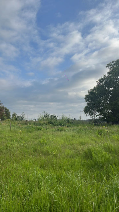 Parcela en Harás Santa Amelia – 5.000 m² | Rol propio | Etapa III