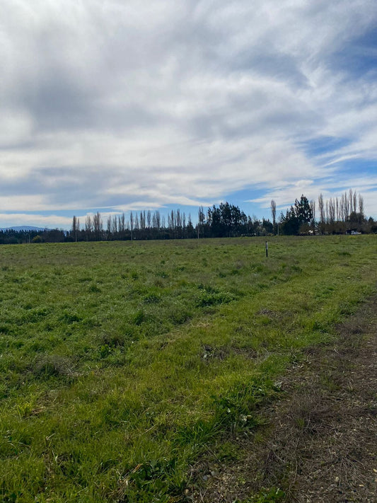 Parcela en Proyecto Portal de la Aurora – Desde 5.000 m² | Rol propio | Acceso controlado