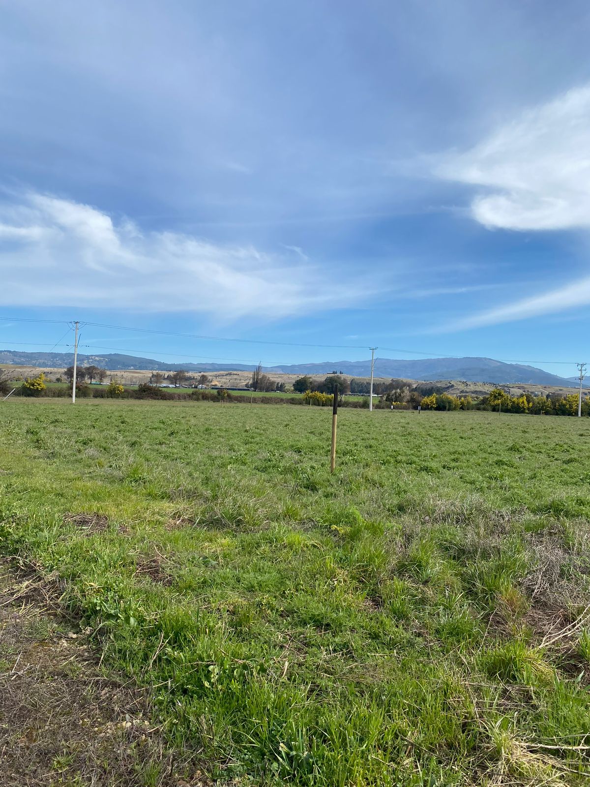 Parcela en Proyecto Portal de la Aurora – Desde 5.000 m² | Rol propio | Acceso controlado