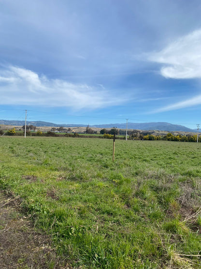 Parcela en Proyecto Portal de la Aurora – Desde 5.000 m² | Rol propio | Acceso controlado