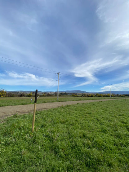 Parcela en Proyecto Portal de la Aurora – Desde 5.000 m² | Rol propio | Acceso controlado