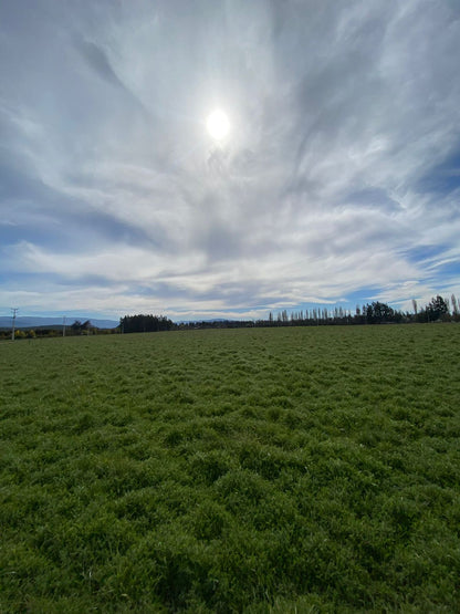 Parcela en Proyecto Portal de la Aurora – Desde 5.000 m² | Rol propio | Acceso controlado