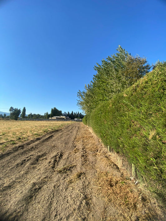 Lote en Sector Vados Buenos Aires – Rol Inscrito | Alta Plusvalía