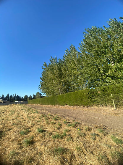 Lote en Sector Vados Buenos Aires – Rol Inscrito | Alta Plusvalía