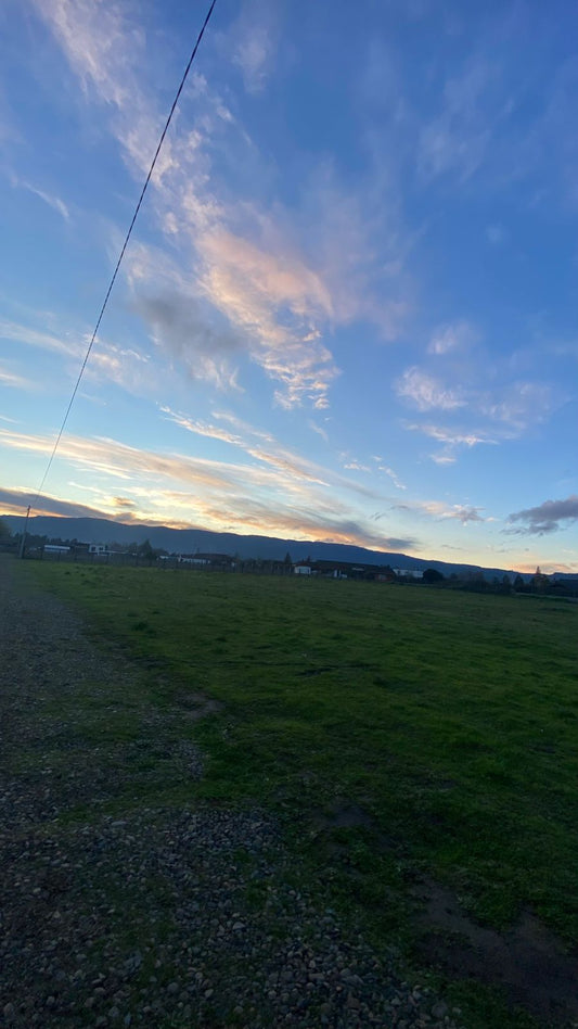 Últimos Lotes en Vados Buenos Aires – Desde 5.000 m² | Alta Plusvalía | Acceso Controlado