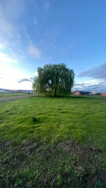 Últimos Lotes en Vados Buenos Aires – Desde 5.000 m² | Alta Plusvalía | Acceso Controlado