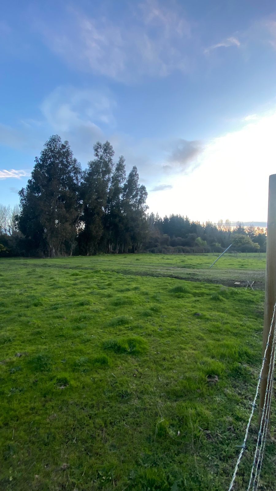 Últimos Lotes en Vados Buenos Aires – Desde 5.000 m² | Alta Plusvalía | Acceso Controlado